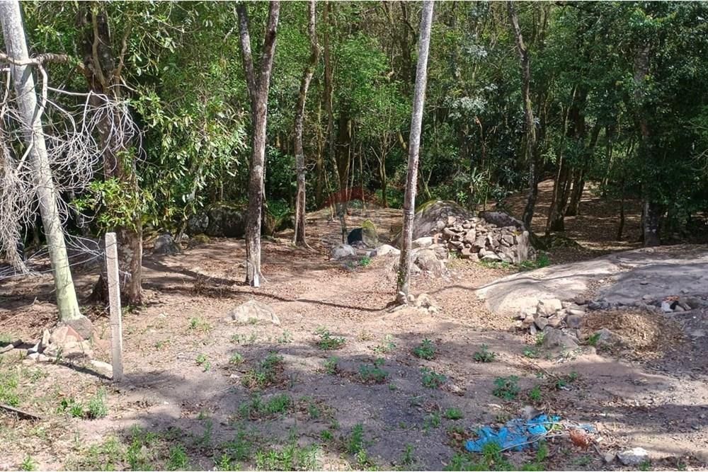 Chácara / Sítio / Fazenda - Venda - Ibiúna , São Paulo - WhatsApp Image 2025-10-26 at 08.04.32 (2).jpeg - 631331032-6