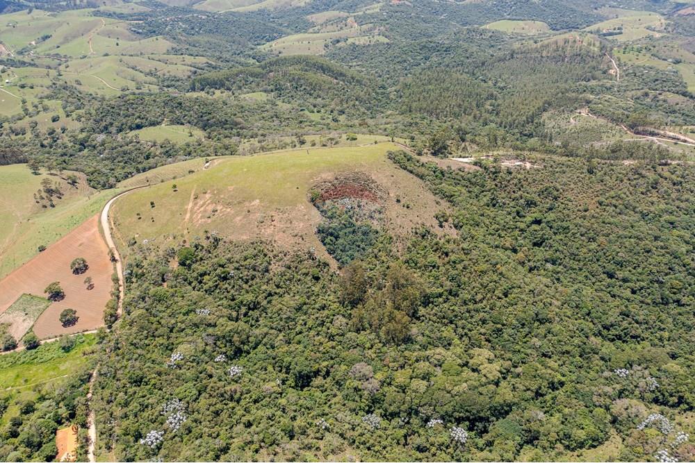 Chácara / Sítio / Fazenda - Venda - Guaratinguetá , São Paulo - FazendaITAJIBA-11.jpg - 630961014-63