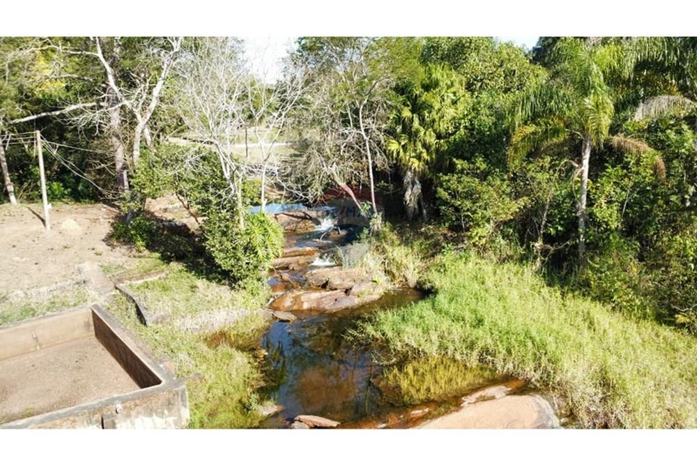 Chácara / Sítio / Fazenda - Venda - Santa Isabel , São Paulo - IMG-20250901-WA0309.jpg - 631491001-239