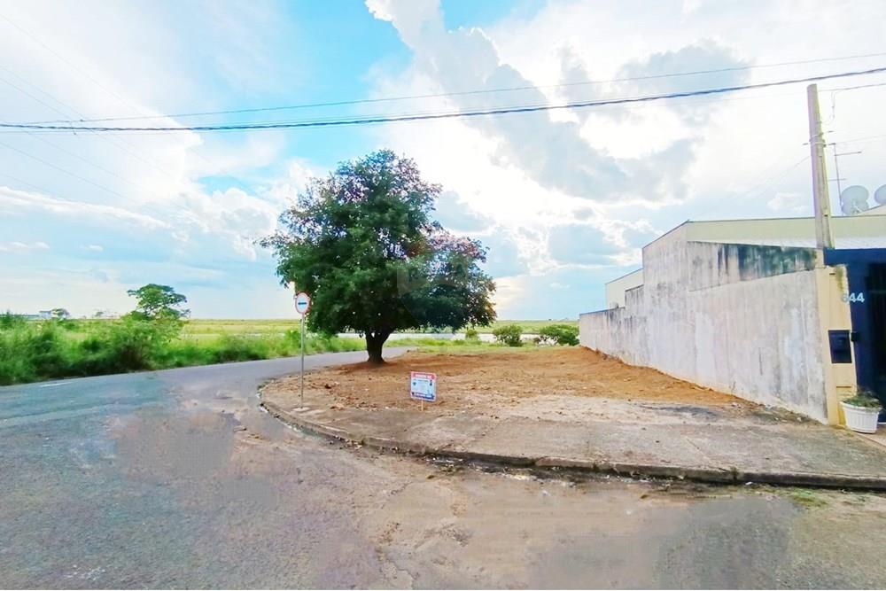 Terreno - Venda - Penápolis , São Paulo - WhatsApp Image 2025-03-15 at 10.21.40 (1).jpeg - 631191013-102