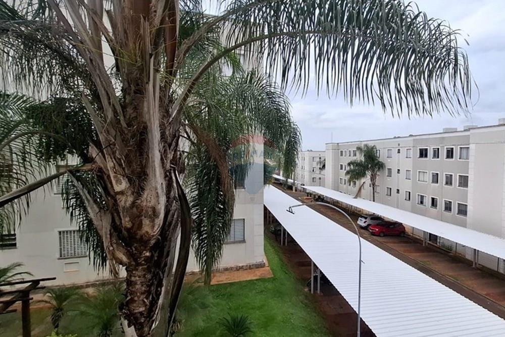 Apartamento - Alugar - Botucatu , São Paulo - Imagem do WhatsApp de 2025-04-28 à(s) 12.22.43_f08b0efe.jpg - 630481079-98