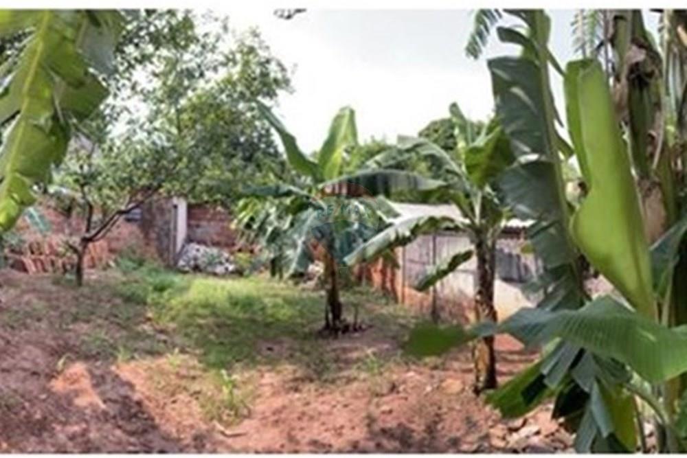 Casa - Venda - São José do Rio Preto , São Paulo - pomar.jpeg - 631481003-233