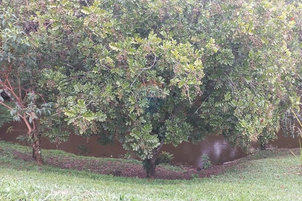 Galpão - Alugar - Mogi das Cruzes , São Paulo - 20251018_135256.jpg - 630281008-109