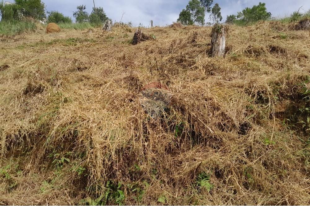 Terreno - Venda - Bom Jardim , Rio de Janeiro - WhatsApp Image 2025-01-18 at 09.51.53 (1).jpeg - 630171008-29