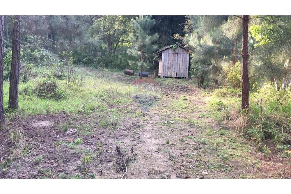 Chácara / Sítio / Fazenda - Venda - Barra do Chapéu , São Paulo - WhatsApp Image 2025-04-11 at 15.16.24.jpeg - 630241005-68