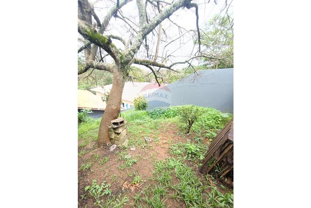 Casa - Alugar - São Roque , São Paulo - WhatsApp Image 2025-11-17 at 16.33.18.jpeg - 631601009-54