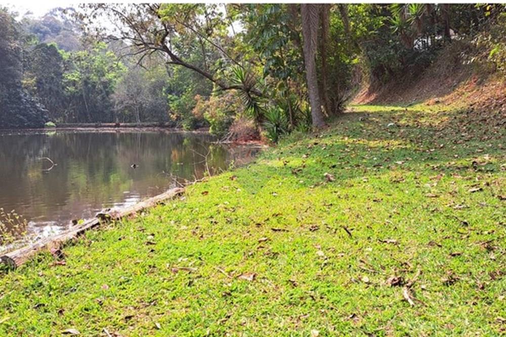 Chácara / Sítio / Fazenda - Venda - Araçariguama , São Paulo - IMG-20240913-WA0062.jpg - 631601010-7