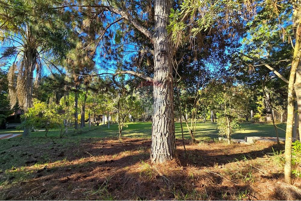 Chácara / Sítio / Fazenda - Venda - Pardinho , São Paulo - 50-20250730_161523.jpg - 630481103-118