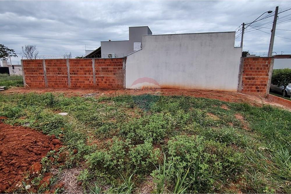 Terreno - Venda - Mirassol , São Paulo - IMG_20251202_115210816_HDR.jpg - 630401039-14