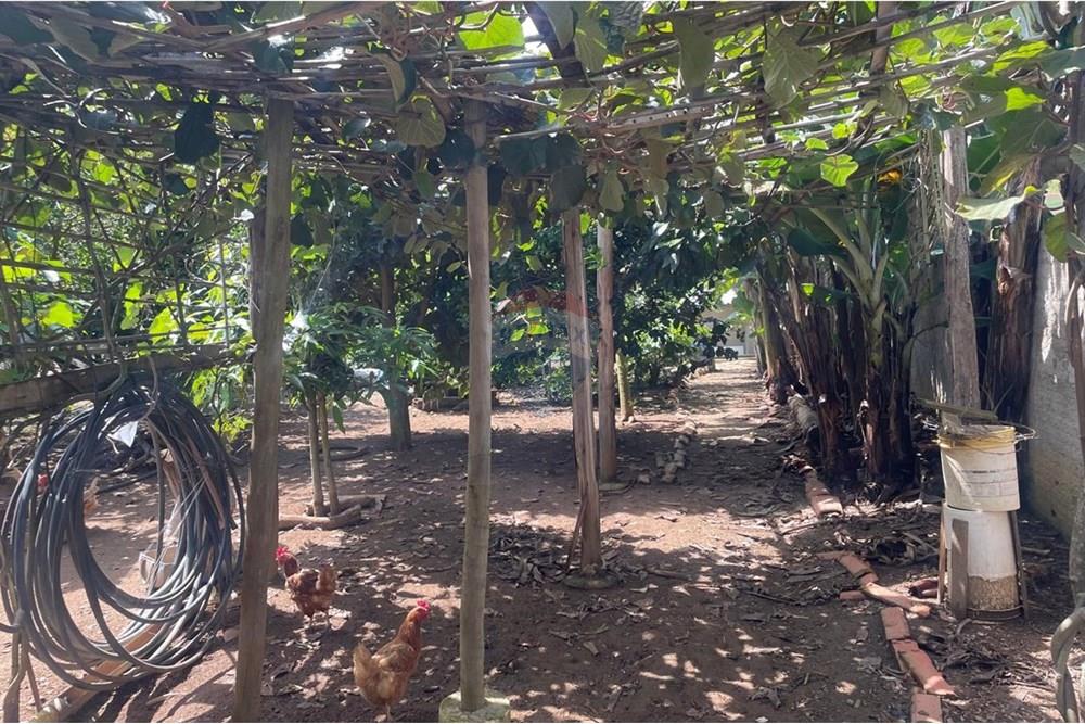 Chácara à venda com 3 quartos, 200m² - Foto 43