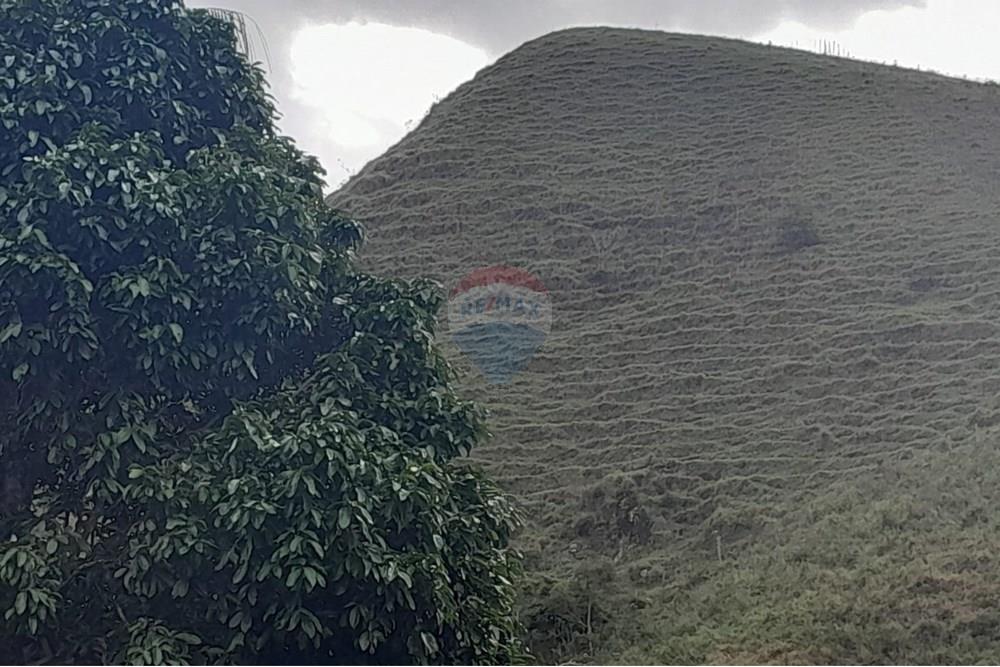 Agro - Venda - Santa Maria Madalena , Rio de Janeiro - WhatsApp Image 2025-05-29 at 13.32.35.jpeg - 630171007-50