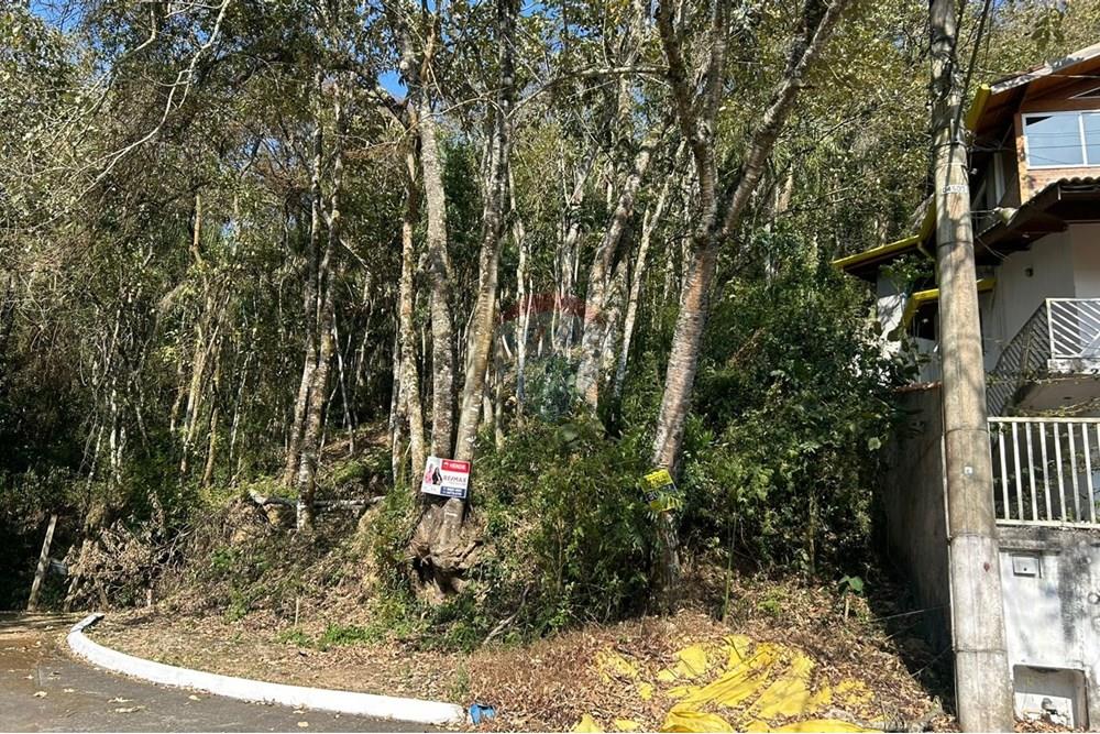 Terreno - Venda - Mairiporã , São Paulo - Imagem do WhatsApp de 2025-09-12 à(s) 16.11.39_89b450dd.jpg - 631361005-145