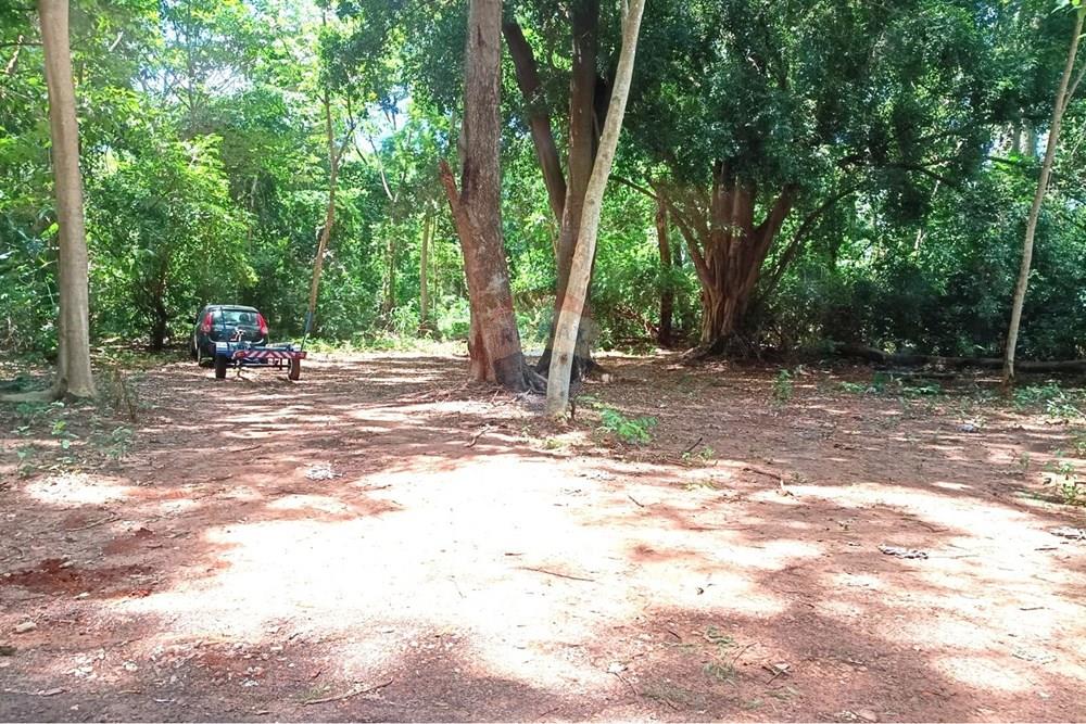 Casa de Campo - Venda - Castilho , São Paulo - Area Lazer 14.jpg - 631201014-77