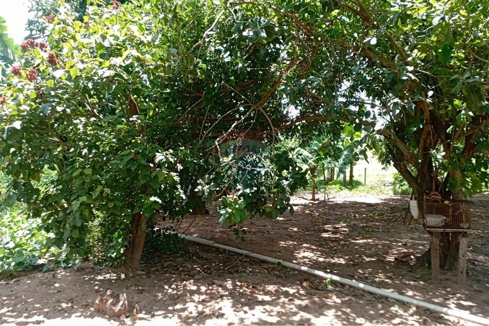 Chácara / Sítio / Fazenda - Venda - Tupã , São Paulo - WhatsApp Image 2026-01-14 at 15.07.27 (1).jpeg - 630151001-86