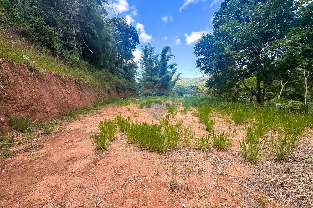 Terreno - Venda - Teresópolis , Rio de Janeiro - WhatsApp Image 2025-03-19 at 22.25.03 (1).jpeg - 630191021-109