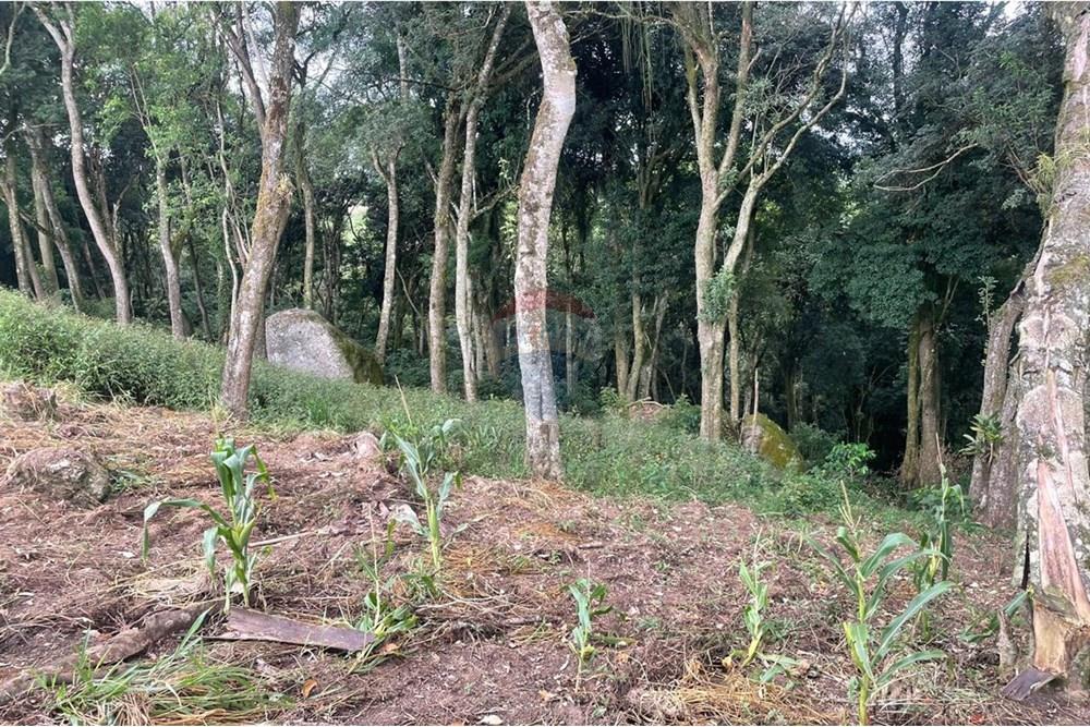 Chácara à venda com 2 quartos, 15340m² - Foto 13