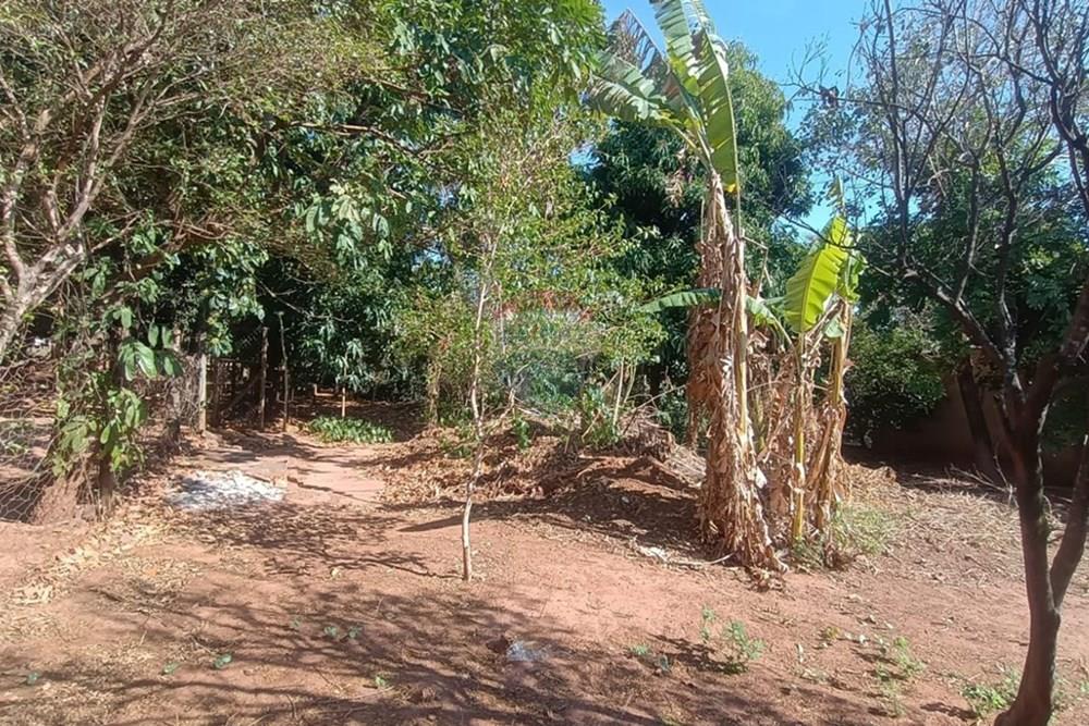 Terreno - Venda - Lins , São Paulo - Lote 05 .jpg - 631011048-3