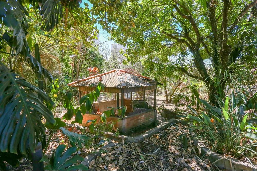 Terreno - Venda - Sorocaba , São Paulo - IMG_4835.jpg - 630601207-23