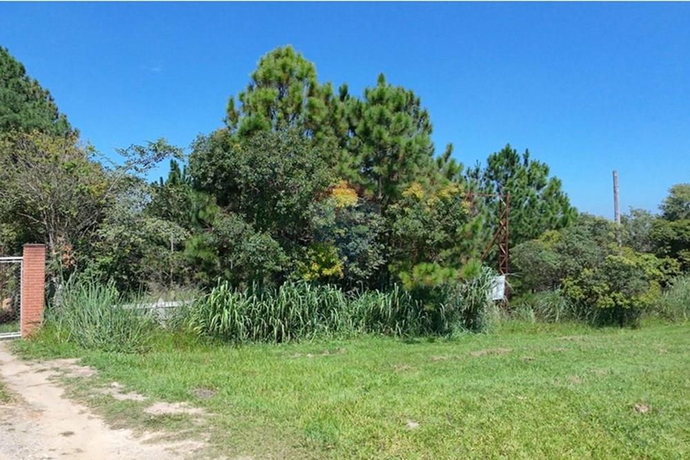 Terreno - Venda - Boituva , São Paulo - WhatsApp Image 2026-03-30 at 16.00.59.jpeg - 630601260-17