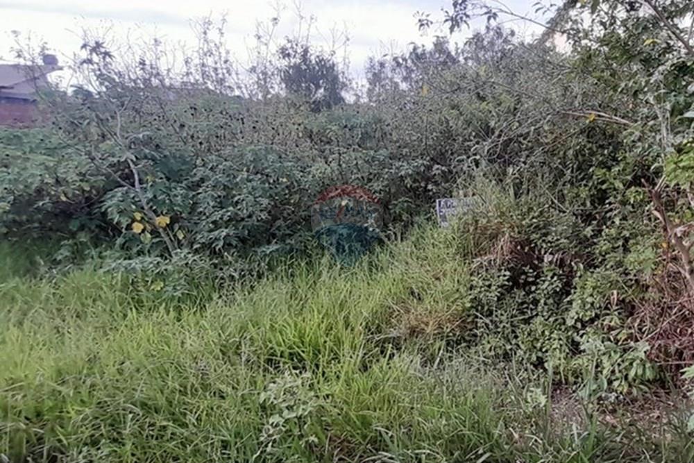 Terreno - Venda - Armação dos Búzios , Rio de Janeiro - WhatsApp Image 2025-12-18 at 09.05.56 (1).jpeg - 630391089-40