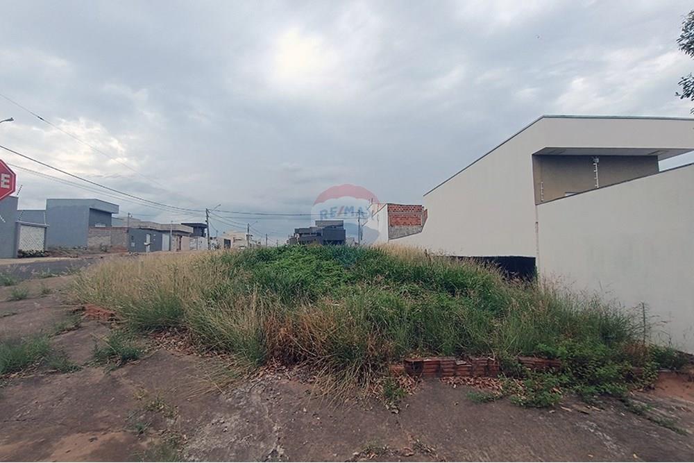 Terreno - Venda - Presidente Prudente , São Paulo - IMG_20251028_145652.jpg - 630861066-14