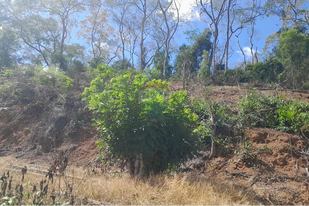 Chácara / Sítio / Fazenda - Venda - Bom Jardim , Rio de Janeiro - WhatsApp Image 2025-12-01 at 11.52.26 (1).jpeg - 630171007-63