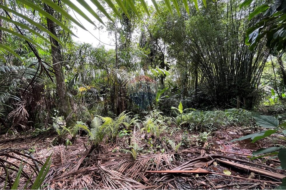 Commercial - Lahan - São Sebastião , São Paulo - BR - IMG_0296.jpeg - 631461029-6