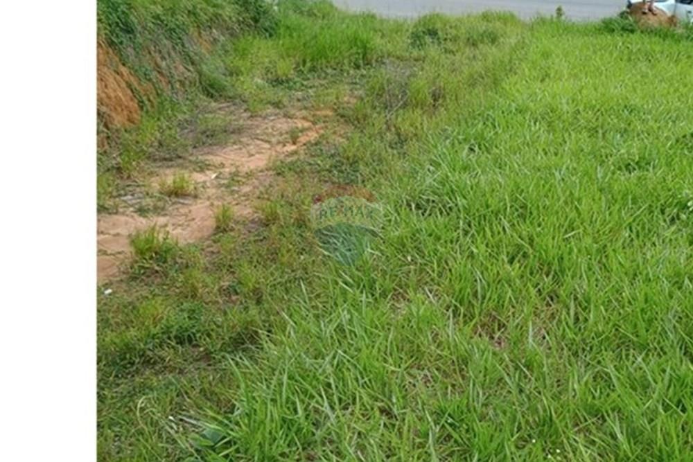 Terreno - Venda - Caçapava , São Paulo - WhatsApp Image 2026-02-23 at 12.53.58 (1).jpeg - Fachada - 631501022-35