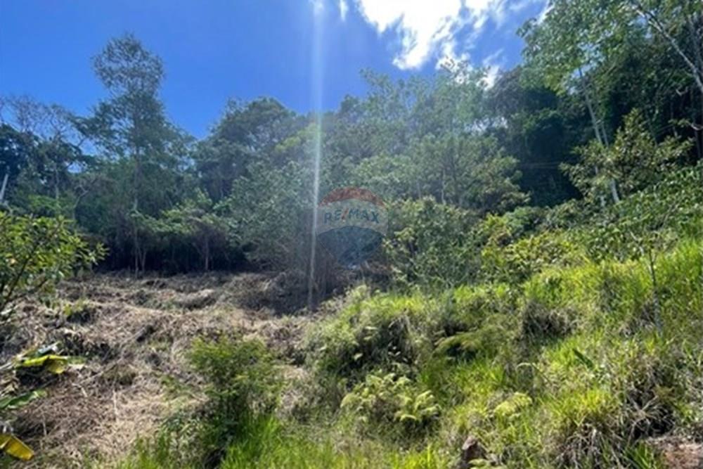 Terreno - Venda - Teresópolis , Rio de Janeiro - 63ff2fd5-4d69-4407-9a8e-cceb337b0713.jpeg - 630191046-53