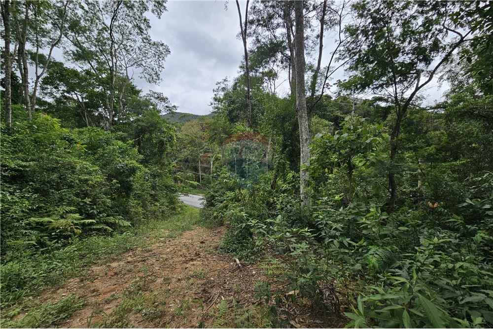 Residential - भूमि - Nova Friburgo , रिओ डे जैनेरो - BR - 46 - 630551016-143