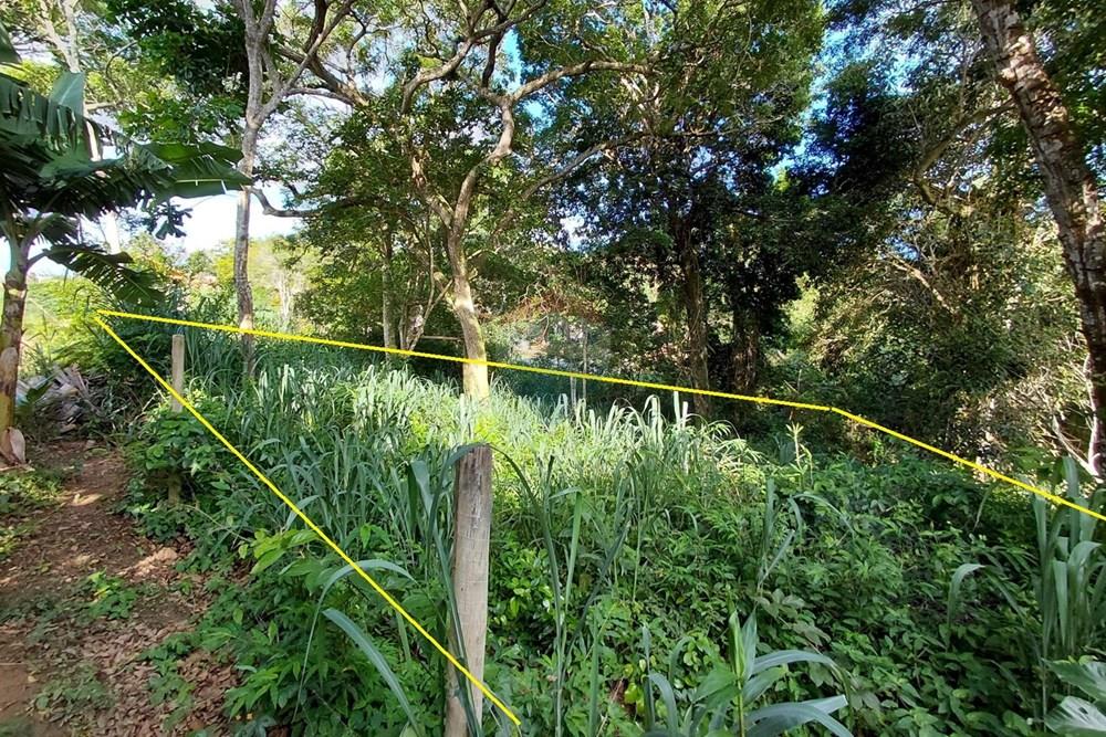 Terreno - Venda - Armação dos Búzios , Rio de Janeiro - 20260206_163726.jpg - 630391071-28