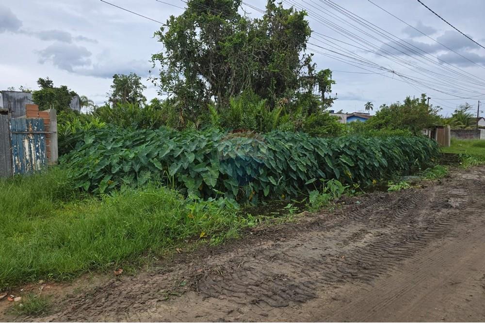 Terreno - Venda - Bertioga , São Paulo - terreno em boraceira 5.jpg - 631461002-59