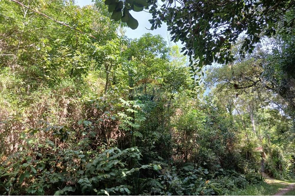 Terreno - Venda - Mairiporã , São Paulo - lote ensolarado.jpeg - 631361025-34