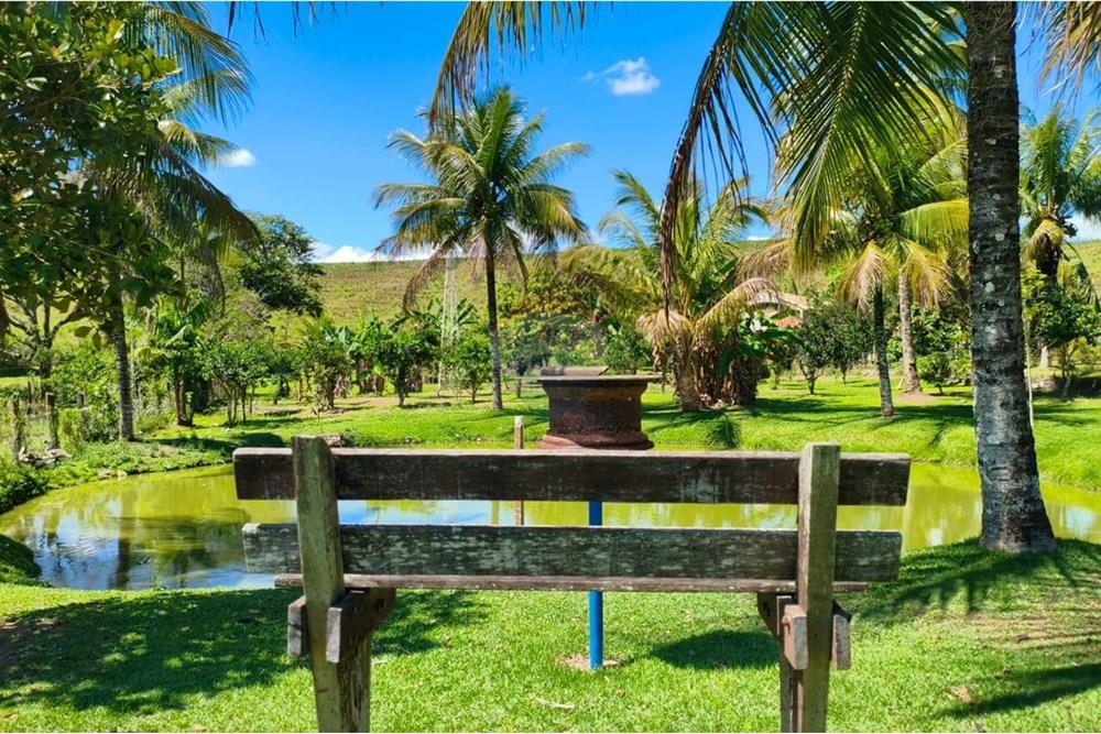 Chácara / Sítio / Fazenda - Venda - Rio Bonito , Rio de Janeiro - WhatsApp Image 2025-09-22 at 14.45.57 (1).jpeg - 631351005-11