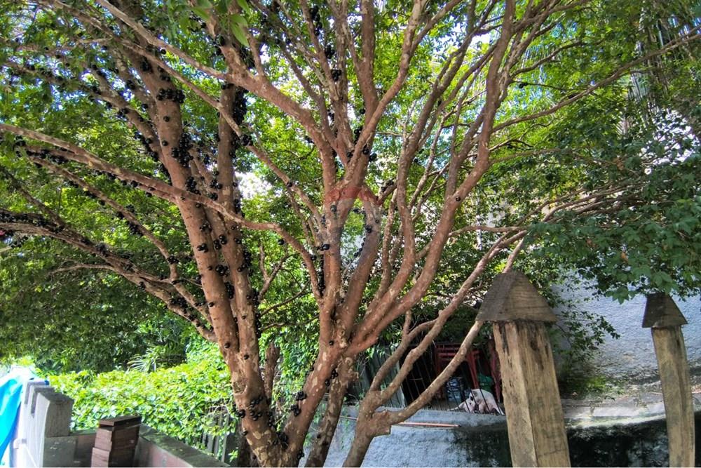 Casa - Venda - Niterói , Rio de Janeiro - b7d9763f-2567-40c3-86bf-9e6c5198e46c.jpeg - 630121040-41