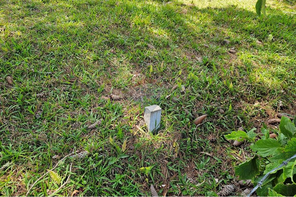 Terreno - Venda - Nova Friburgo , Rio de Janeiro - 20251111_103810.jpg - 630551024-83