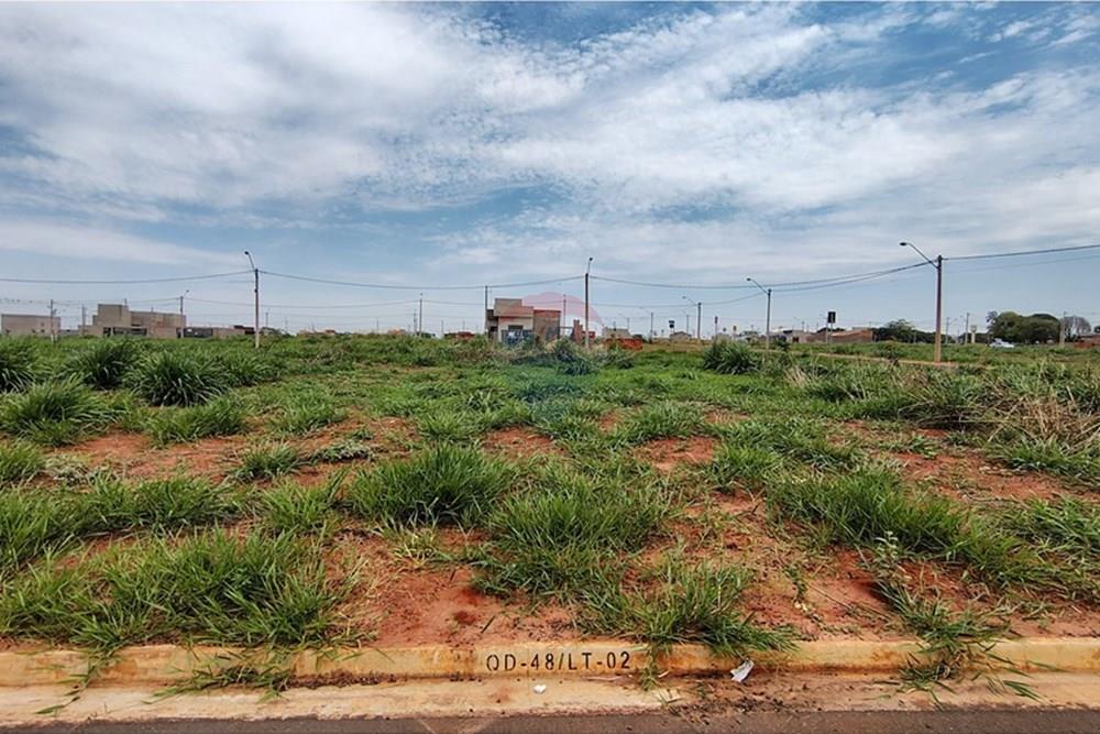 Terreno - Venda - São José do Rio Preto , São Paulo - IMG_20251115_111301246_HDR.jpg - 630401039-17