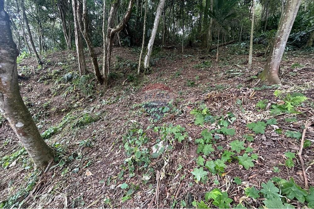 Terreno - Venda - Nova Friburgo , Rio de Janeiro - WhatsApp Image 2025-06-24 at 21.43.51.jpeg - 630551055-90