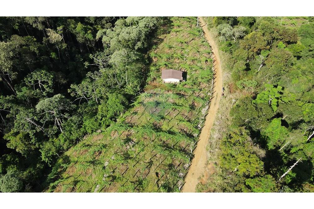 Chácara / Sítio / Fazenda - Venda - Petrópolis , Rio de Janeiro - c14.jpg - 630131071-36