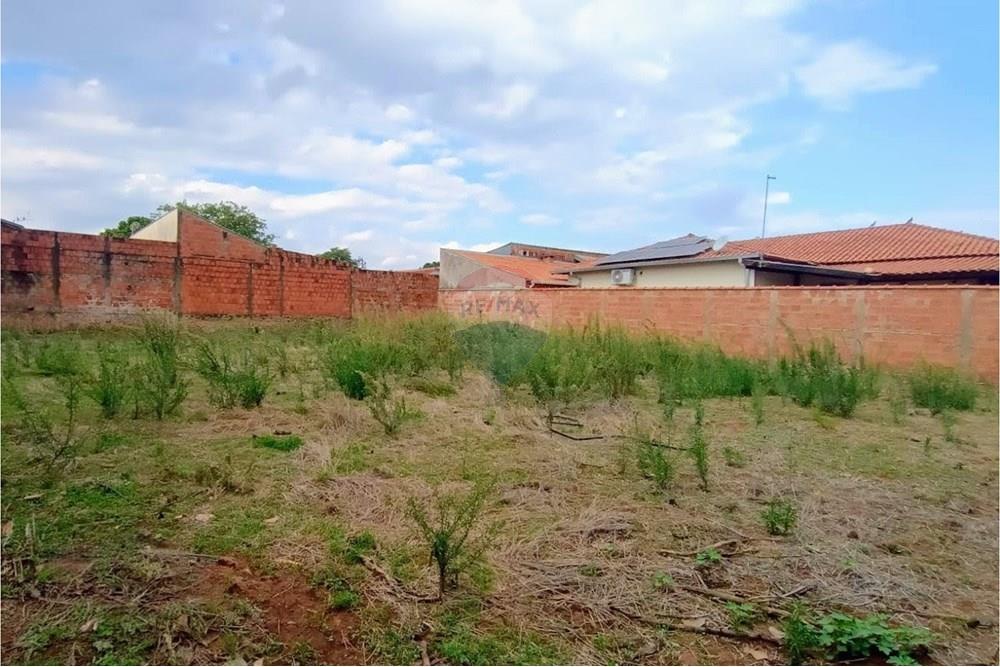 Terreno - Venda - Lins , São Paulo - 5 terreno principal 2.jpg - 631011049-4