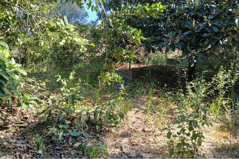 Terreno - Venda - Salto de Pirapora , São Paulo - 20250306_151927.jpg - 631181028-68