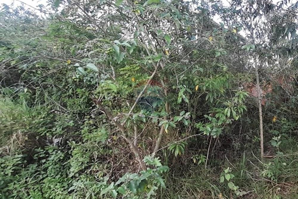 Terreno - Venda - Armação dos Búzios , Rio de Janeiro - WhatsApp Image 2025-12-18 at 09.05.56 (3).jpeg - 630391089-40