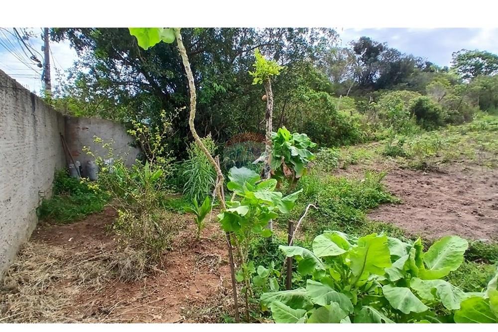 Terreno - Venda - São Pedro da Aldeia , Rio de Janeiro - 20251018_132629.jpg - 631591029-27