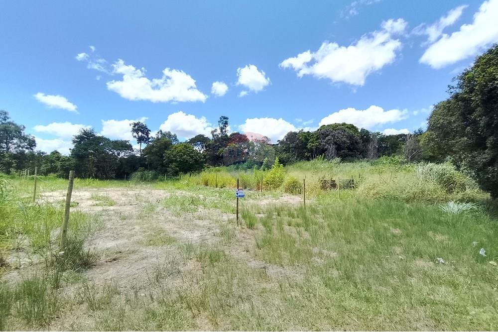 Terreno - Venda - Paraíba do Sul , Rio de Janeiro - IMG_20250225_111152_HDR.jpg - 631411001-104
