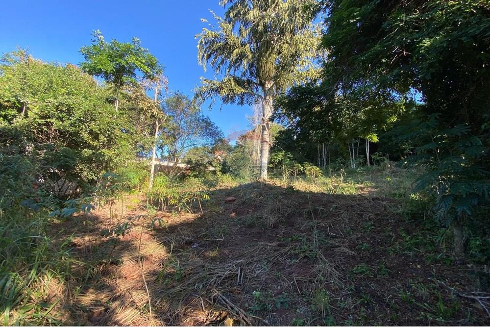 Terreno - Venda - Armação dos Búzios , Rio de Janeiro - WhatsApp Image 2025-07-08 at 11.28.28 (1).jpeg - 630391072-18