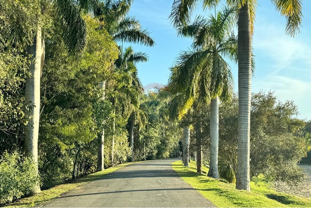 Terreno - Venda - Boituva , São Paulo - WhatsApp Image 2025-07-28 at 21.11.58.jpeg - 630591039-75