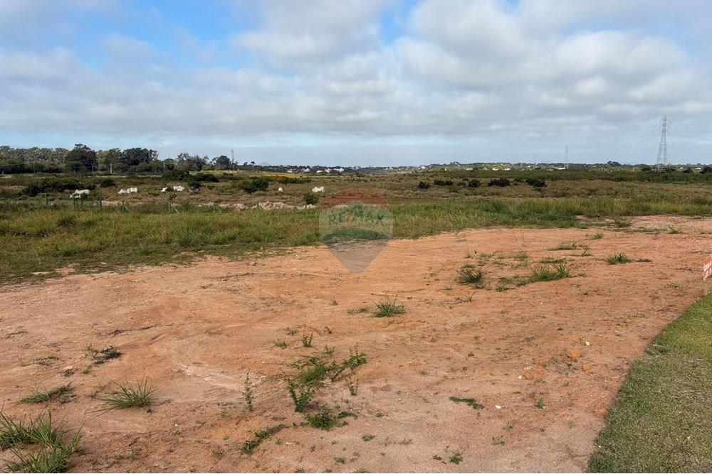 Terreno - Venda - Armação dos Búzios , Rio de Janeiro - IMG_4855.jpg - 630391127-6