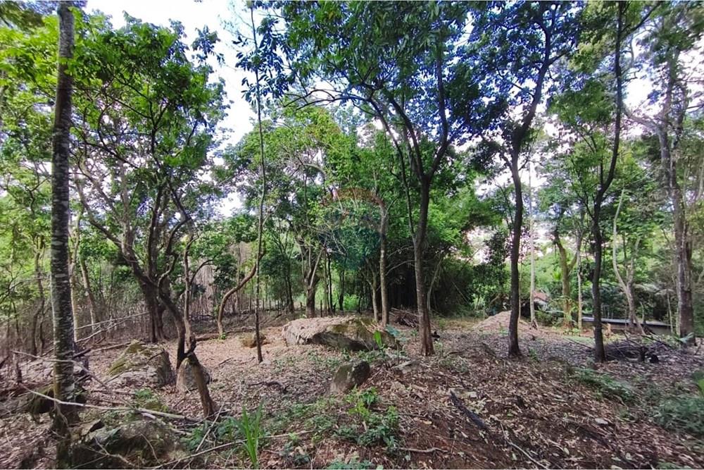 Terreno - Venda - Rio Bonito , Rio de Janeiro - WhatsApp Image 2026-03-26 at 15.58.42.jpeg - 631351006-8