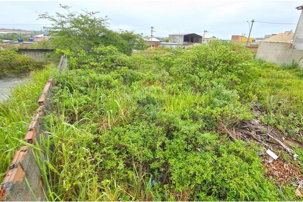 Terreno - Venda - Cabo Frio , Rio de Janeiro - 20260122_121540.jpg - 631551041-6