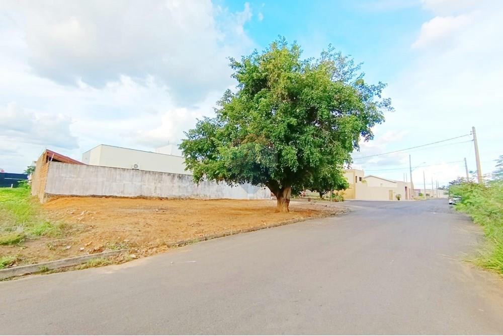 Terreno - Venda - Penápolis , São Paulo - WhatsApp Image 2025-03-15 at 10.21.45 (1).jpeg - 631191013-102